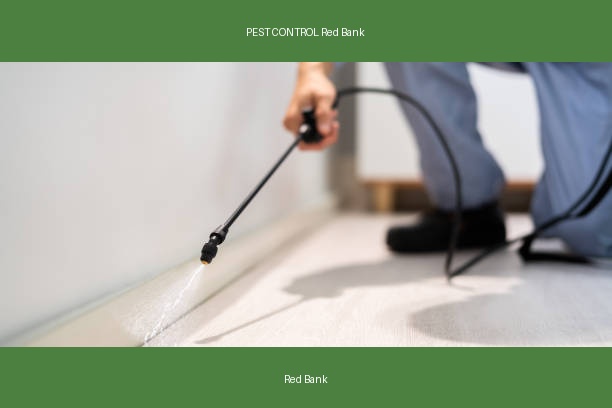 PEST CONTROL Red Bank